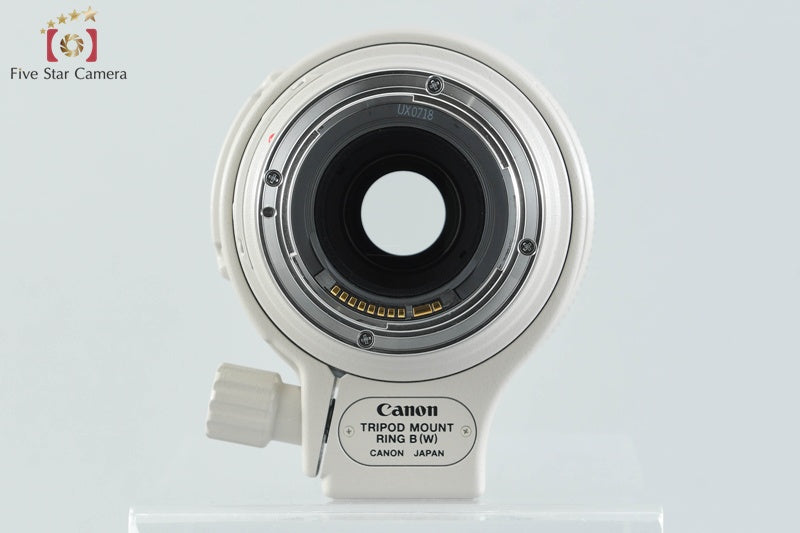Canon EF 100-400mm f/4.5-5.6 L IS USM