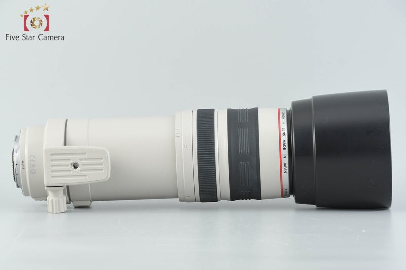 Canon EF 100-400mm f/4.5-5.6 L IS USM