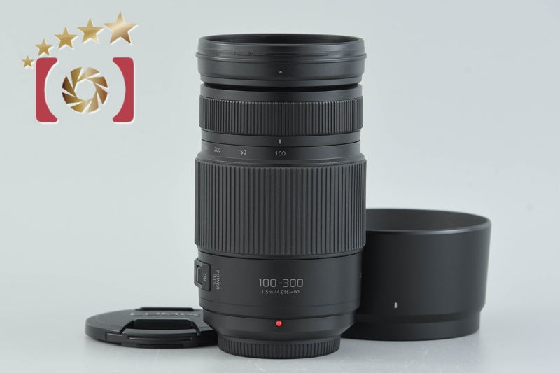 Panasonic LUMIX G VARIO 100-300mm f/4-5.6 POWER O.I.S. H-FSA100300
