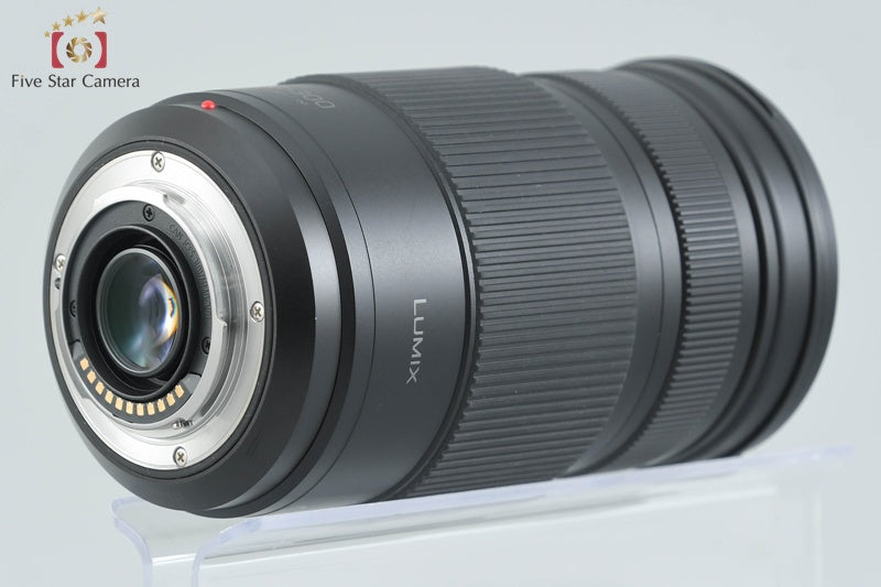Panasonic LUMIX G VARIO 100-300mm f/4-5.6 POWER O.I.S. H-FSA100300