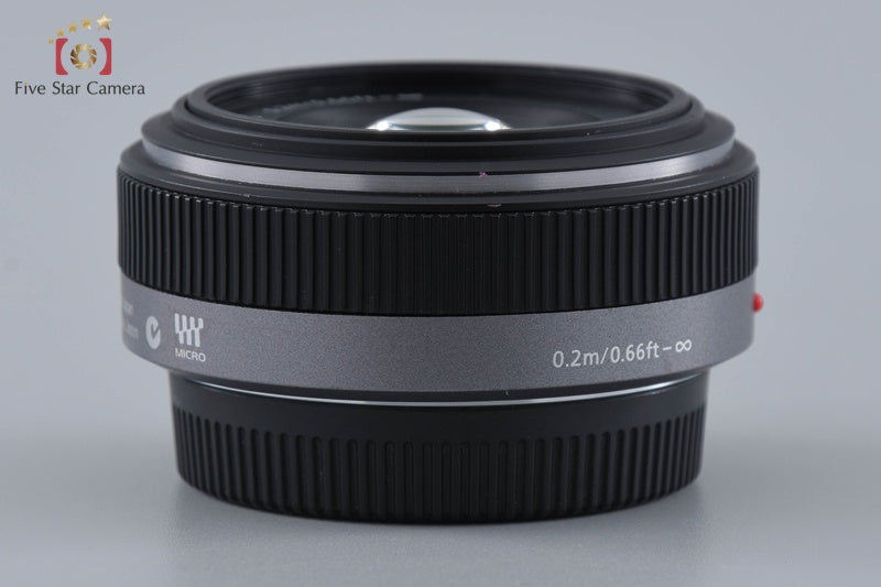 Panasonic LUMIX G 20mm f/1.7 ASPH. H-H020
