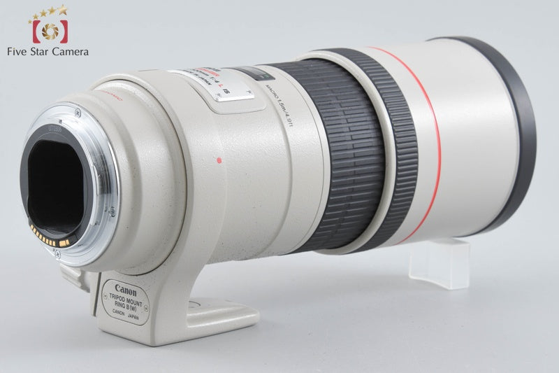 Canon EF 300mm f/4 L IS USM
