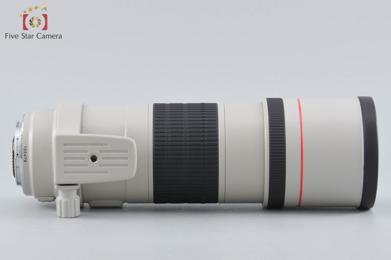 Canon EF 300mm f/4 L IS USM