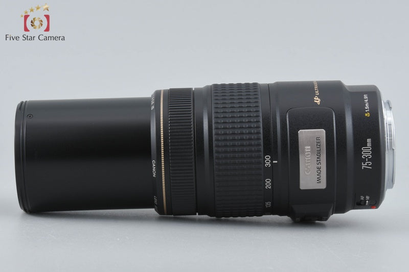 Canon EF 75-300mm f/4-5.6 IS USM