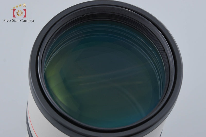 Canon EF 300mm f/4 L IS USM