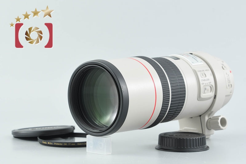 Canon EF 300mm f/4 L IS USM