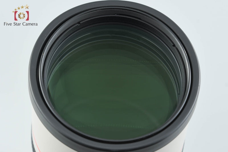 Canon EF 300mm f/4 L IS USM