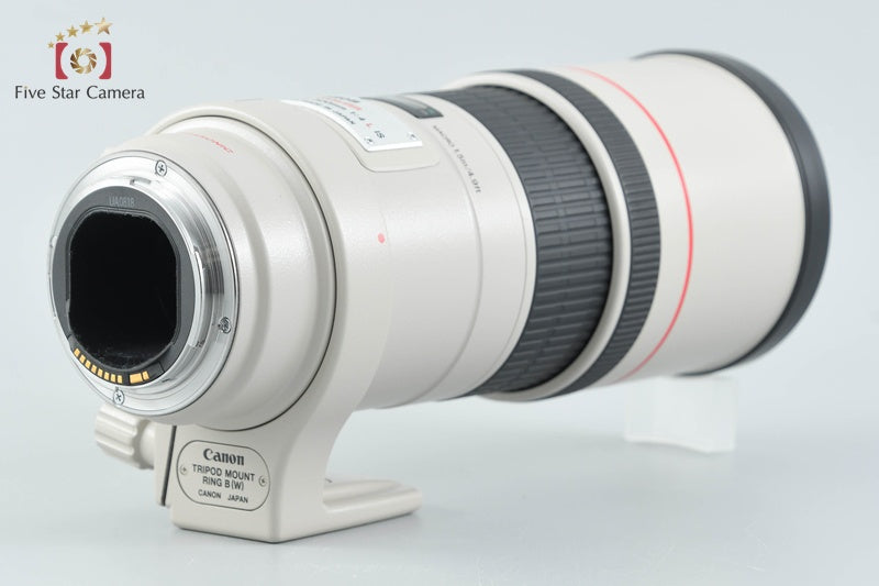 Canon EF 300mm f/4 L IS USM