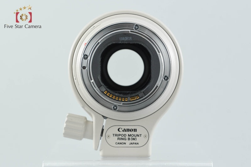 Canon EF 300mm f/4 L IS USM