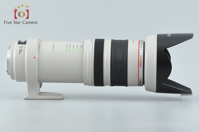 Canon EF 35-350mm f/3.5-5.6 L USM