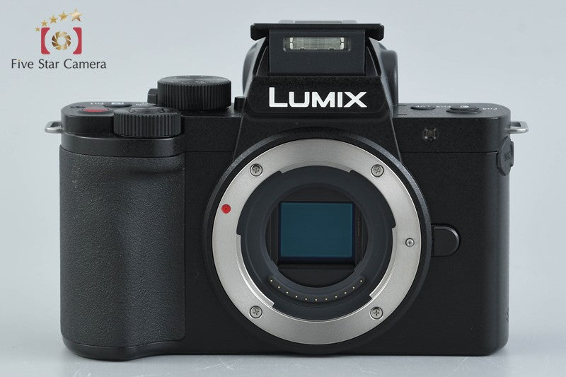 Panasonic LUMIX DC-G100 20.3 MP Digital Camera 12-32 Lens