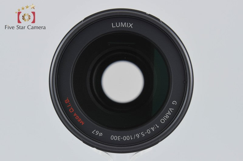 Panasonic LUMIX G VARIO 100-300mm f/4-5.6 MEGA O.I.S. H-FS100300