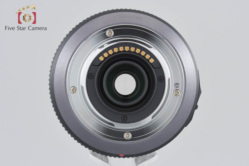 Panasonic LUMIX G VARIO 100-300mm f/4-5.6 MEGA O.I.S. H-FS100300