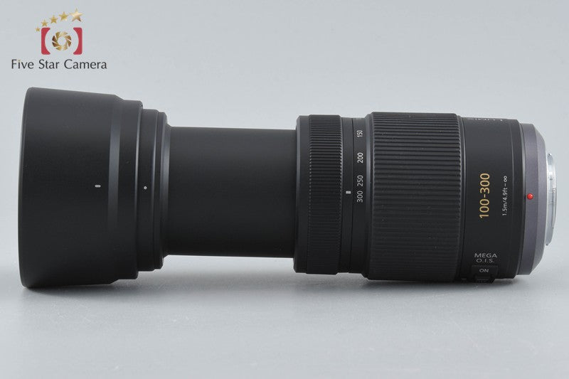Panasonic LUMIX G VARIO 100-300mm f/4-5.6 MEGA O.I.S. H-FS100300