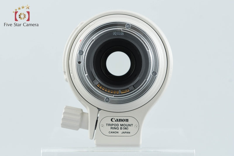 Canon EF 100-400mm f/4.5-5.6 L IS USM