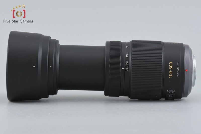 Panasonic LUMIX G VARIO 100-300mm f/4-5.6 MEGA O.I.S. H-FS100300