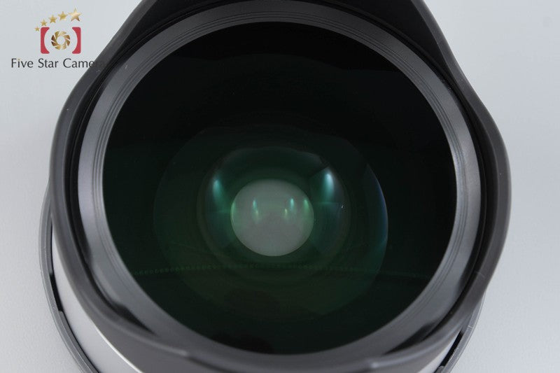SONY E 16mm f/2.8 SEL16F28 + VCL-ECF1 Fisheye Converter