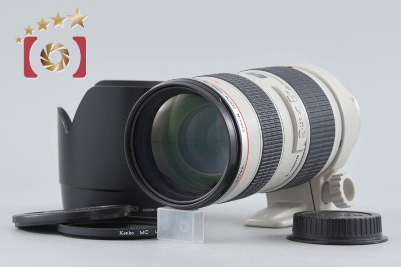 Canon EF 70-200mm f/2.8 L USM