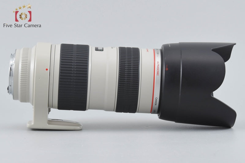 Canon EF 70-200mm f/2.8 L USM