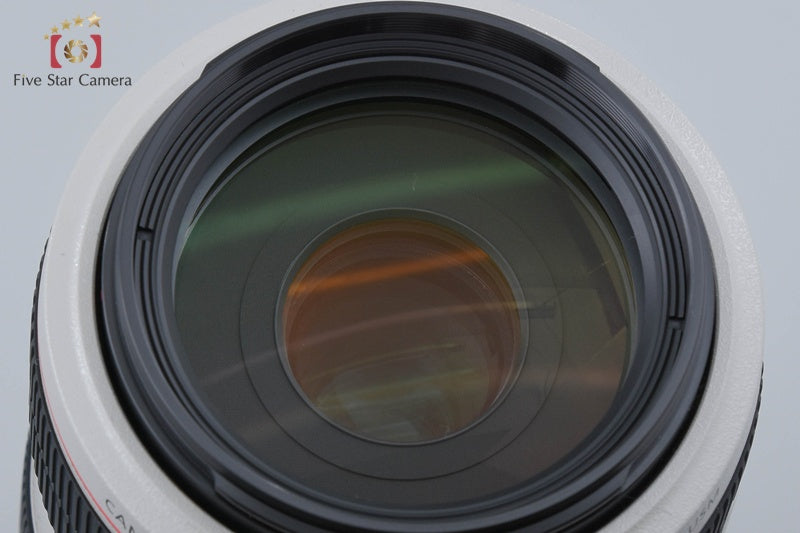 Canon EF 70-300mm f/4-5.6 L IS USM w/ Box