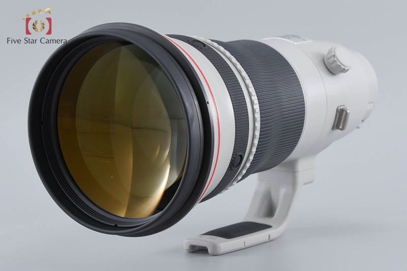 Canon EF 400mm f/2.8 L IS II USM
