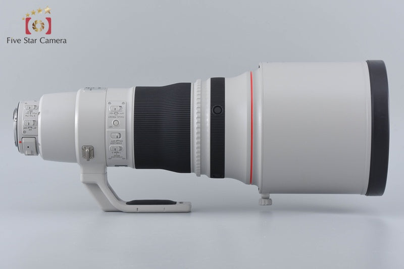 Canon EF 400mm f/2.8 L IS II USM