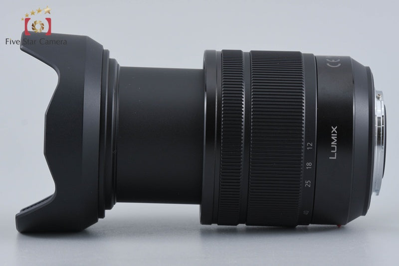 Panasonic LUMIX G VARIO 12-60mm f/3.5-5.6 ASPH. POWER. O.I.S. H-FS12060