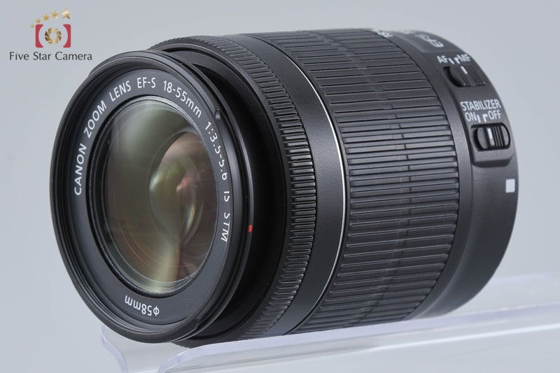 Canon EF-S 18-55mm f/3.5-5.6 IS STM