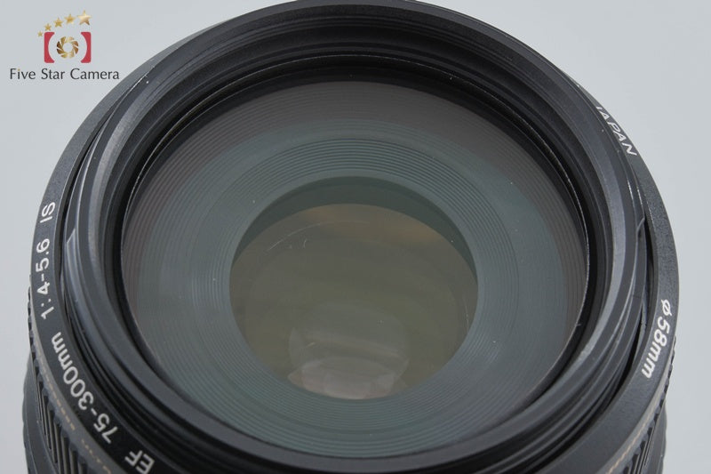 Canon EF 75-300mm f/4-5.6 IS USM