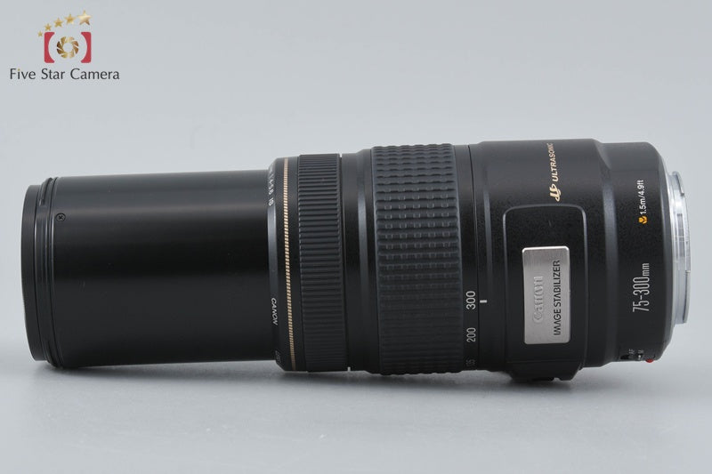 Canon EF 75-300mm f/4-5.6 IS USM