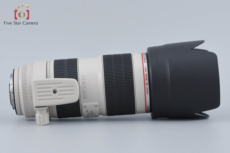 Canon EF 70-200mm f/2.8 L IS II USM