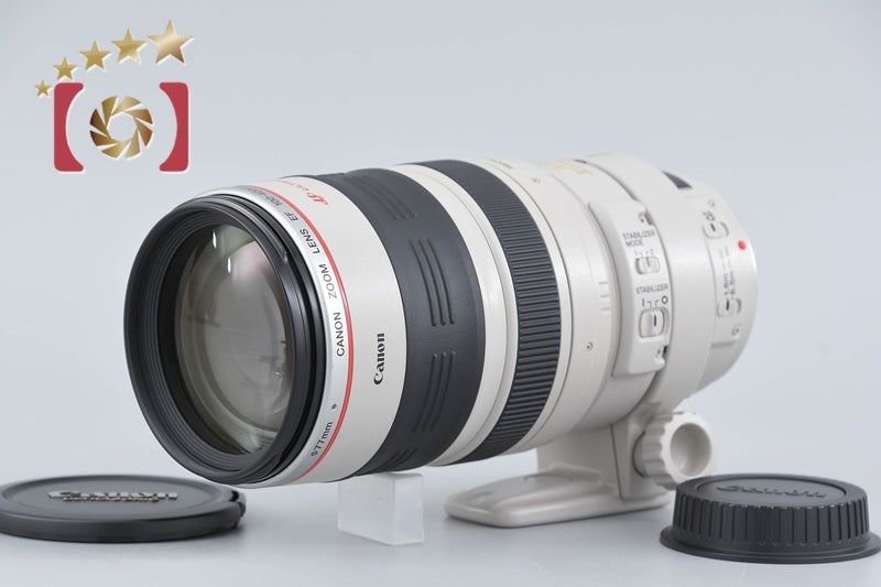 Canon EF 100-400mm f/4.5-5.6 L IS USM