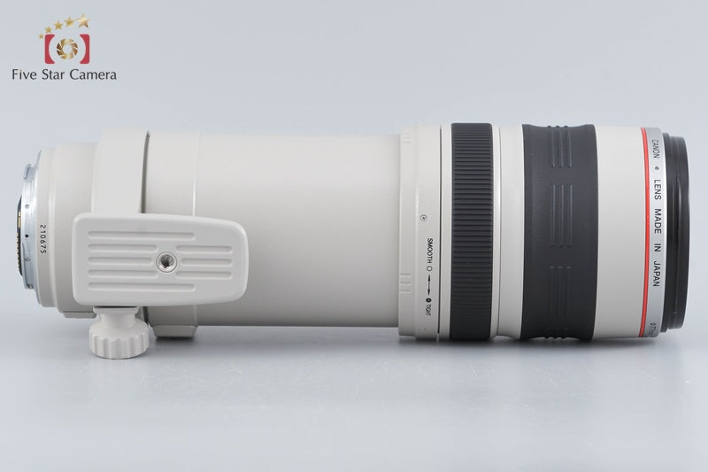 Canon EF 100-400mm f/4.5-5.6 L IS USM