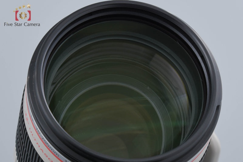 Canon EF 70-200mm f/2.8 L IS II USM