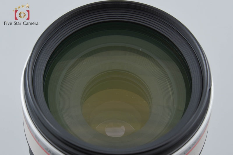 Canon EF 100-400mm f/4.5-5.6 L IS USM w/ Box