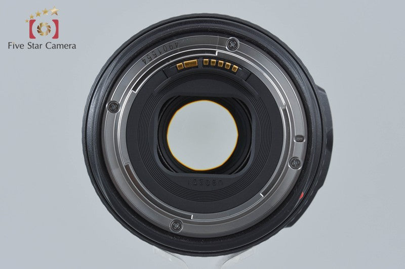 Canon EF 24-105mm f/4 L IS USM