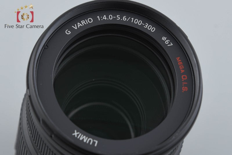 Panasonic LUMIX G VARIO 100-300mm f/4-5.6 MEGA O.I.S. H-FS100300
