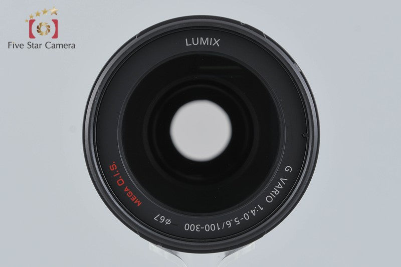 Panasonic LUMIX G VARIO 100-300mm f/4-5.6 MEGA O.I.S. H-FS100300