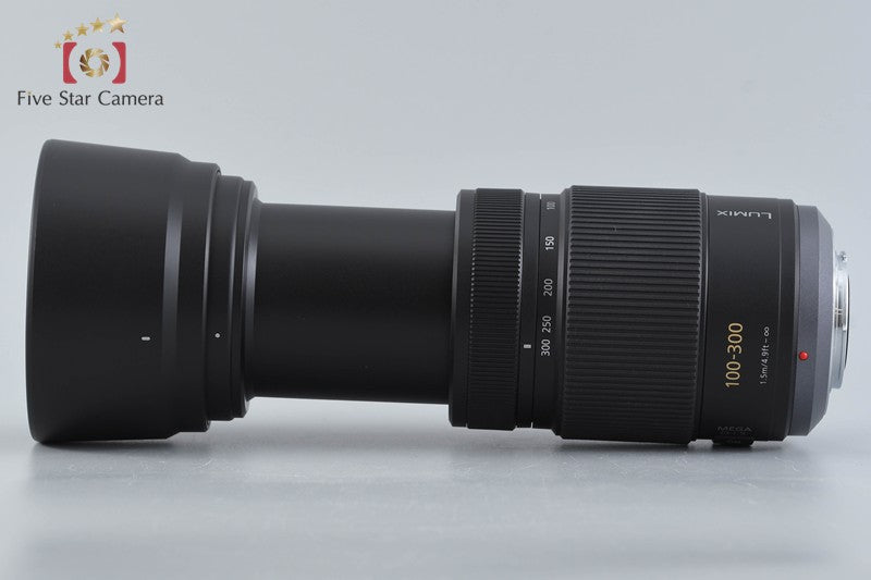Panasonic LUMIX G VARIO 100-300mm f/4-5.6 MEGA O.I.S. H-FS100300