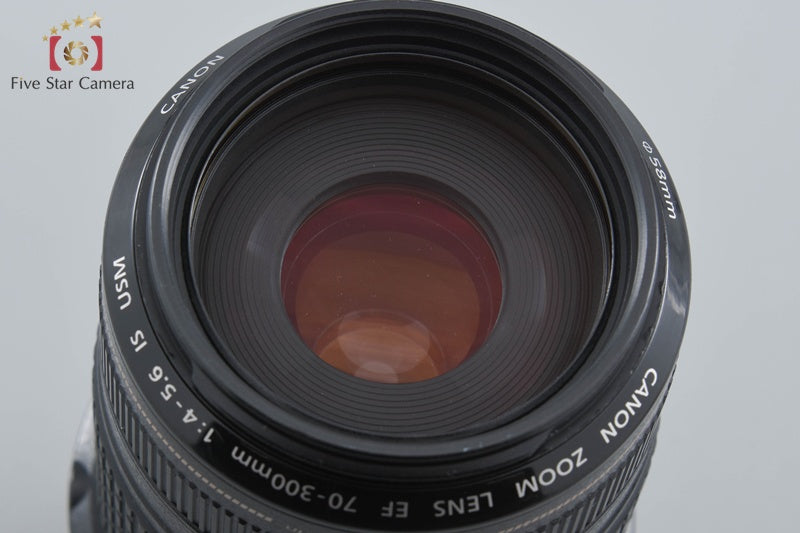 Canon EF 70-300mm f/4-5.6 IS USM
