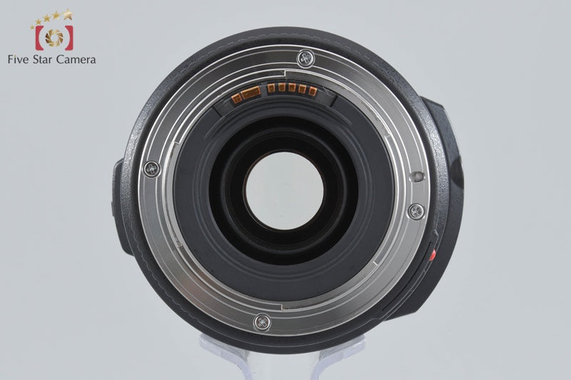 Canon EF 70-300mm f/4-5.6 IS USM