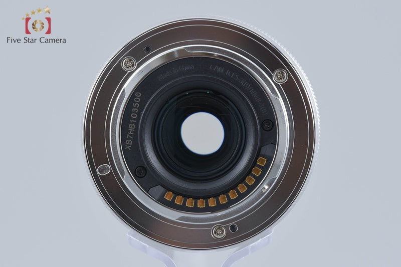 Panasonic LUMIX G VARIO 35-100mm f/4-5.6 ASPH. MEGA O.I.S. H-FS35100 Silver