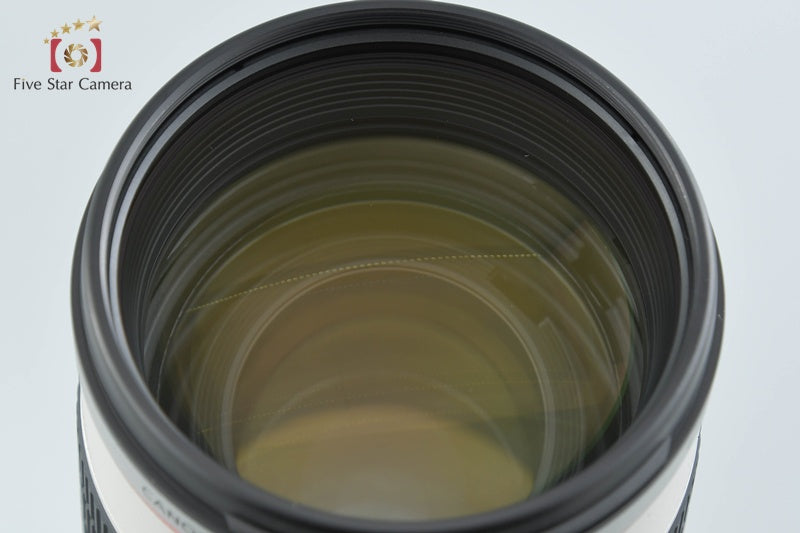 Canon EF 70-200mm f/2.8 L IS USM