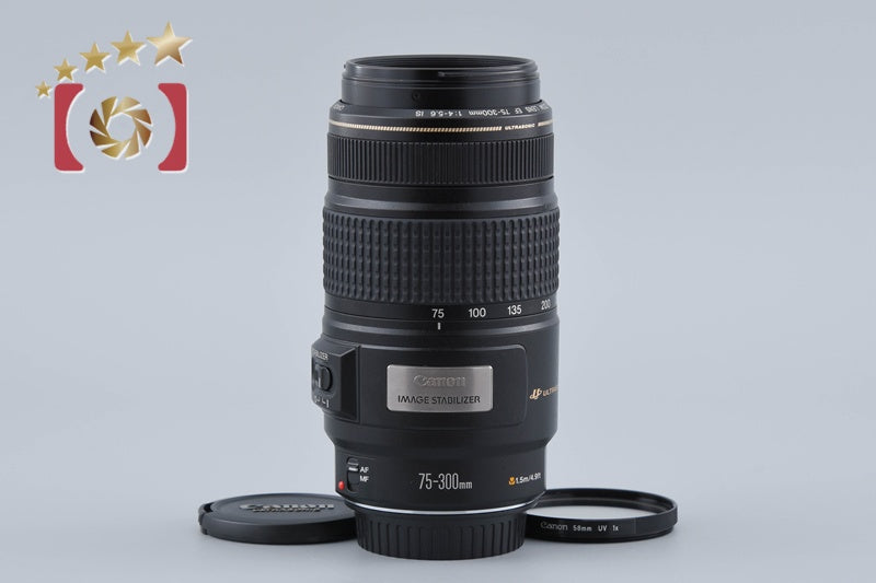 Canon EF 75-300mm f/4-5.6 IS USM