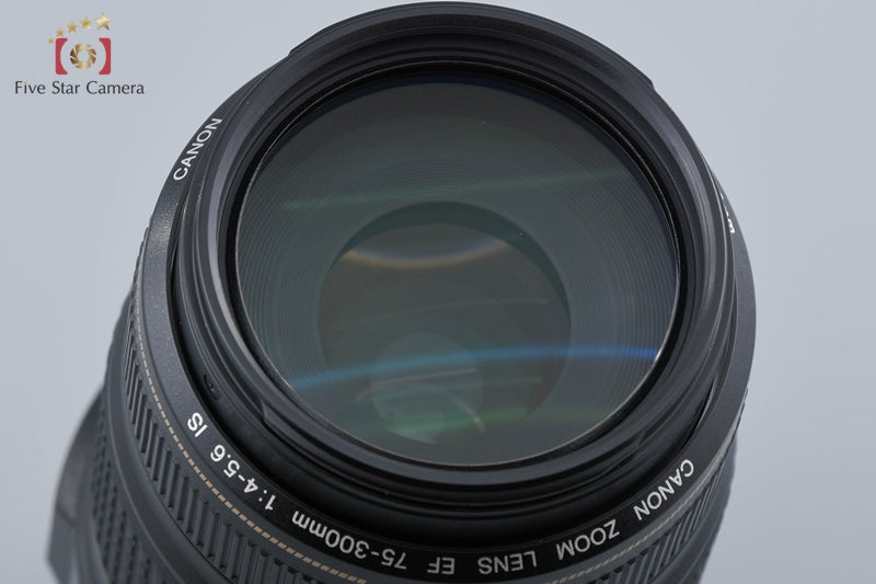 Canon EF 75-300mm f/4-5.6 IS USM