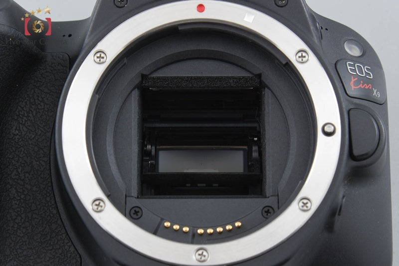 Canon EOS Kiss X9 / Rebel SL2 / 200D 24.2 MP 18-55 55-250 Lenses