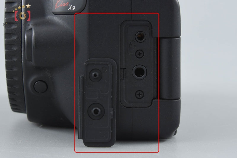 Canon EOS Kiss X9 / Rebel SL2 / 200D 24.2 MP 18-55 55-250 Lenses