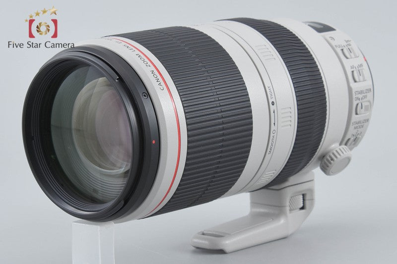 Canon EF 100-400mm f/4.5-5.6 L IS II USM