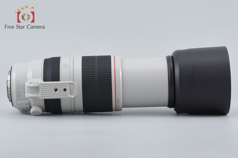 Canon EF 100-400mm f/4.5-5.6 L IS II USM