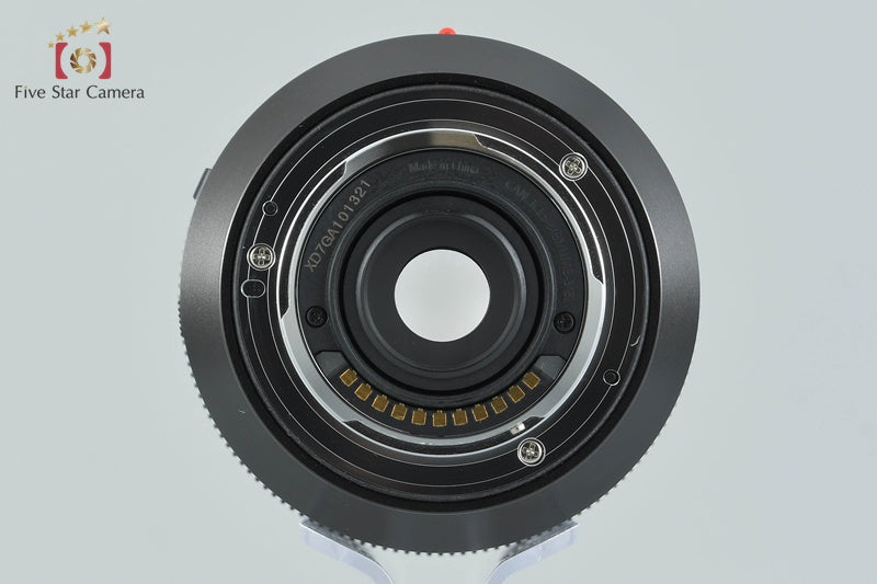 Panasonic LUMIX G LEICA DG VARIO-ELMARIT 12-60mm f/2.8-4 ASPH. H-ES12060